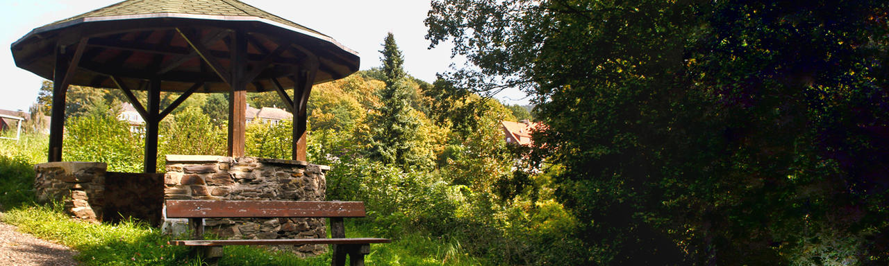 Oberbieber Sitzgelegenheit Wald